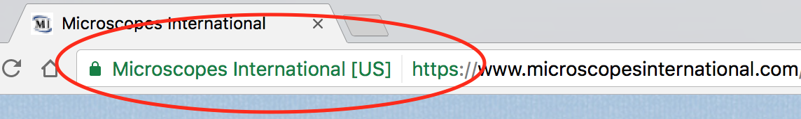 Secure Browser Address Line