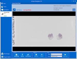 Overview Image with Good Color Balance and Flat-Field