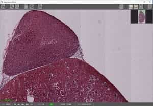 Level Background Process — Before