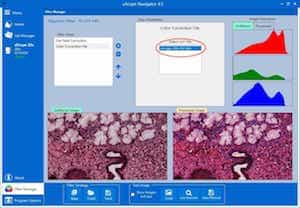 Filter Manager: Color Correction File