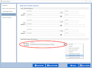 Program Options - Deep Zoom - Export