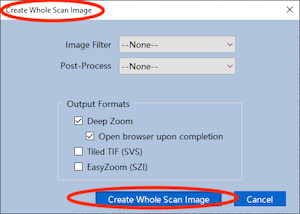 Create Whole Scan Image Dialog