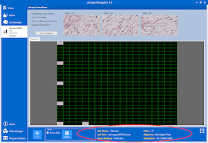 Job Info Displayed when Scanning